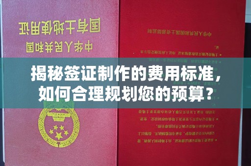 建德揭秘签证制作的费用标准，如何合理规划您的预算？